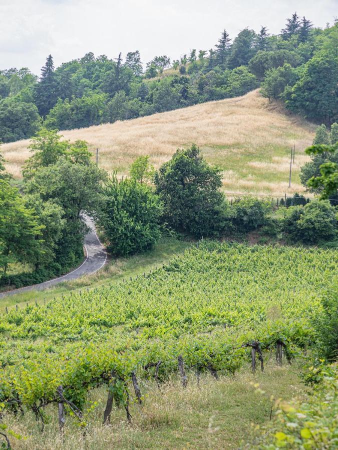 Vila Fattorie Di Montechiaro Sasso Marconi Exteriér fotografie